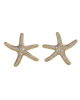 Sea Star Studs