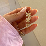 Butterfly Hoops